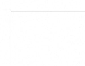A3